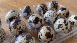 Furjtojas elkeszitese